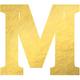 Metallic Gold Welcome Home Cardstock Letter Banner Kit, 4.5in Letters, 13pc