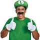 Adult Luigi Costume Accessory Kit - Nintendo Super Mario Bros.