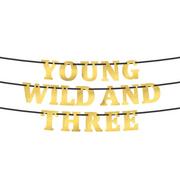 Metallic Gold Young Wild and Three Cardstock Letter Banner Kit, 4.5in Letters, 20pc