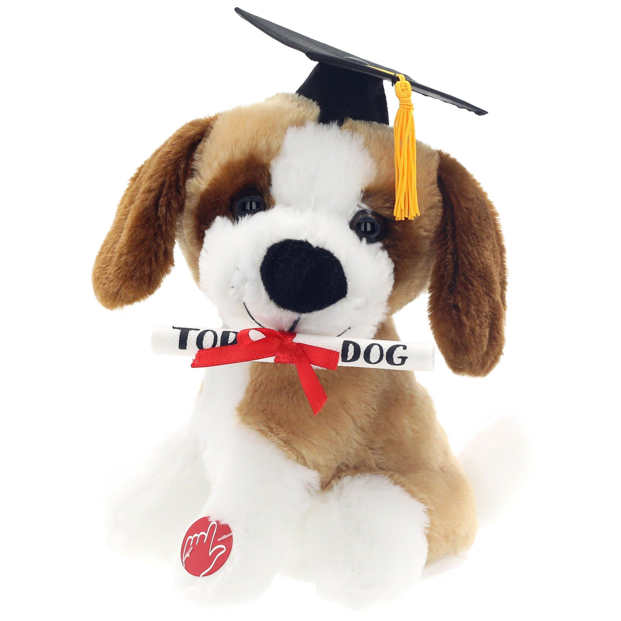 Graduation Cap & Top Dog Diploma Tan, White & Brown Dog Plush, 7in