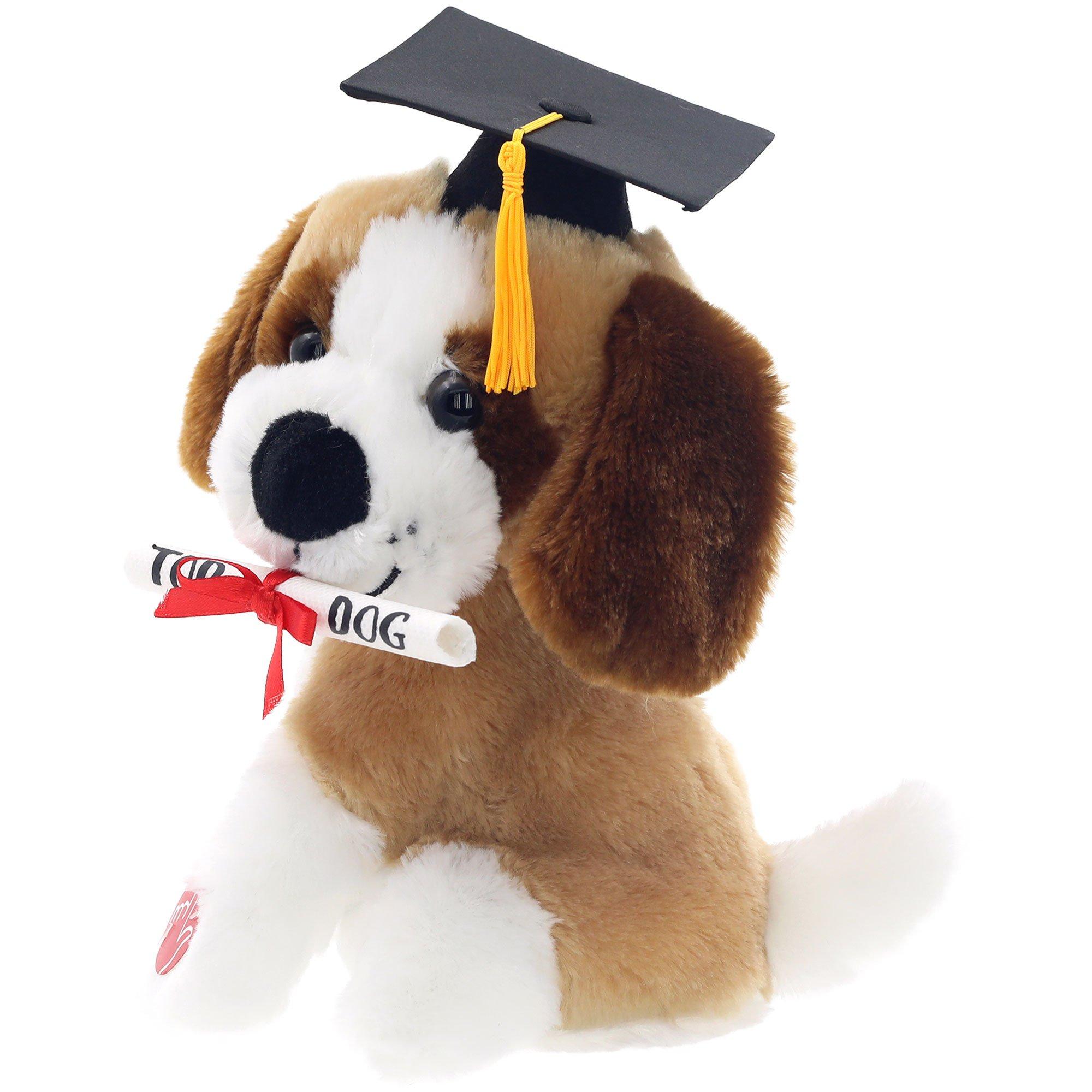 Graduation Cap & Top Dog Diploma Tan, White & Brown Dog Plush, 7in