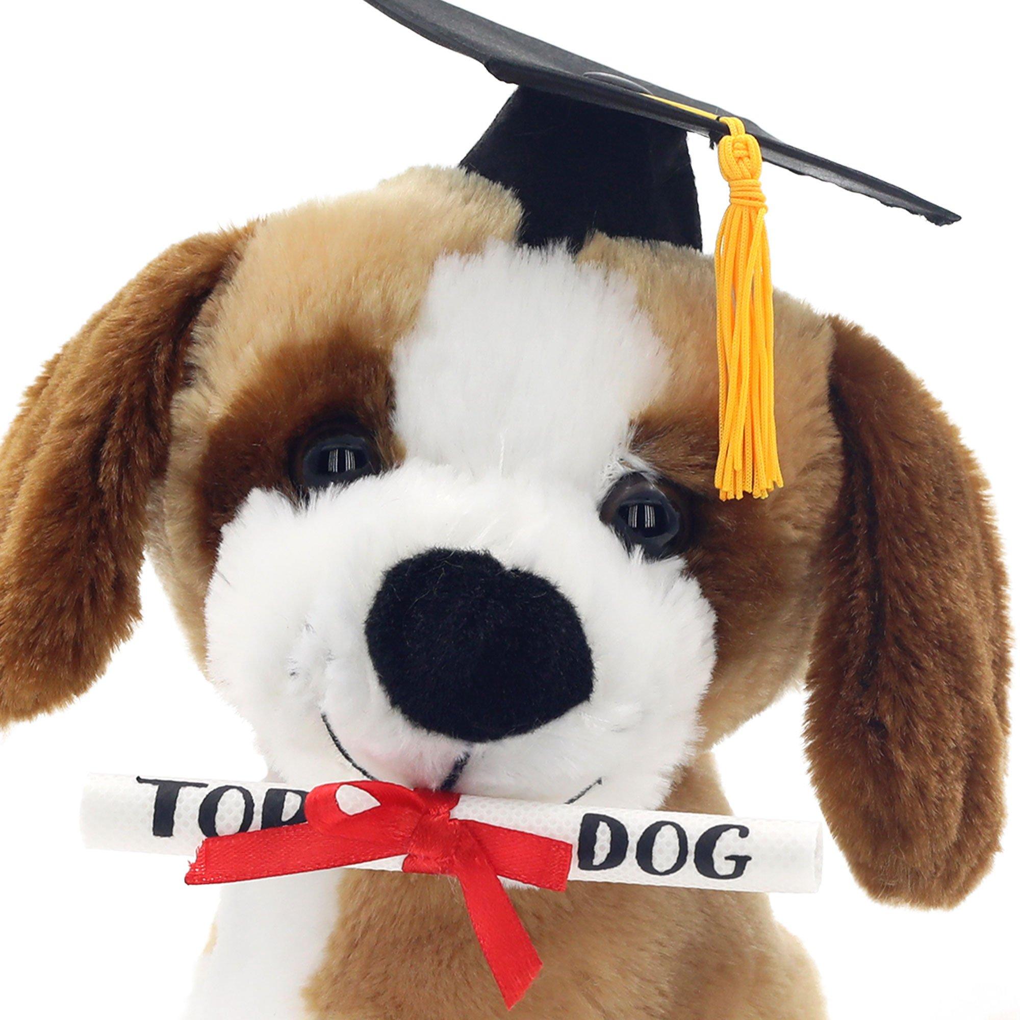 Graduation Cap & Top Dog Diploma Tan, White & Brown Dog Plush, 7in