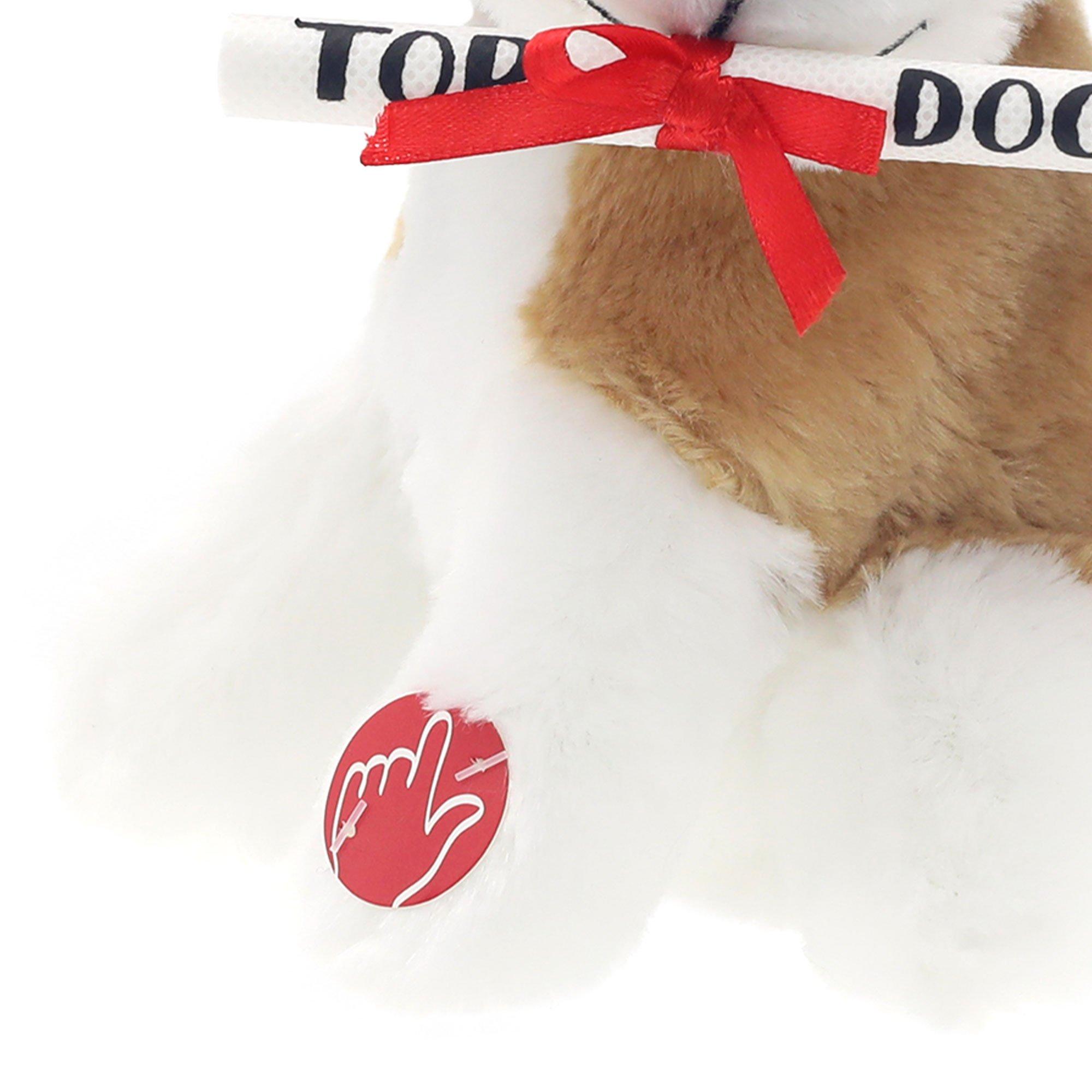 Graduation Cap & Top Dog Diploma Tan, White & Brown Dog Plush, 7in