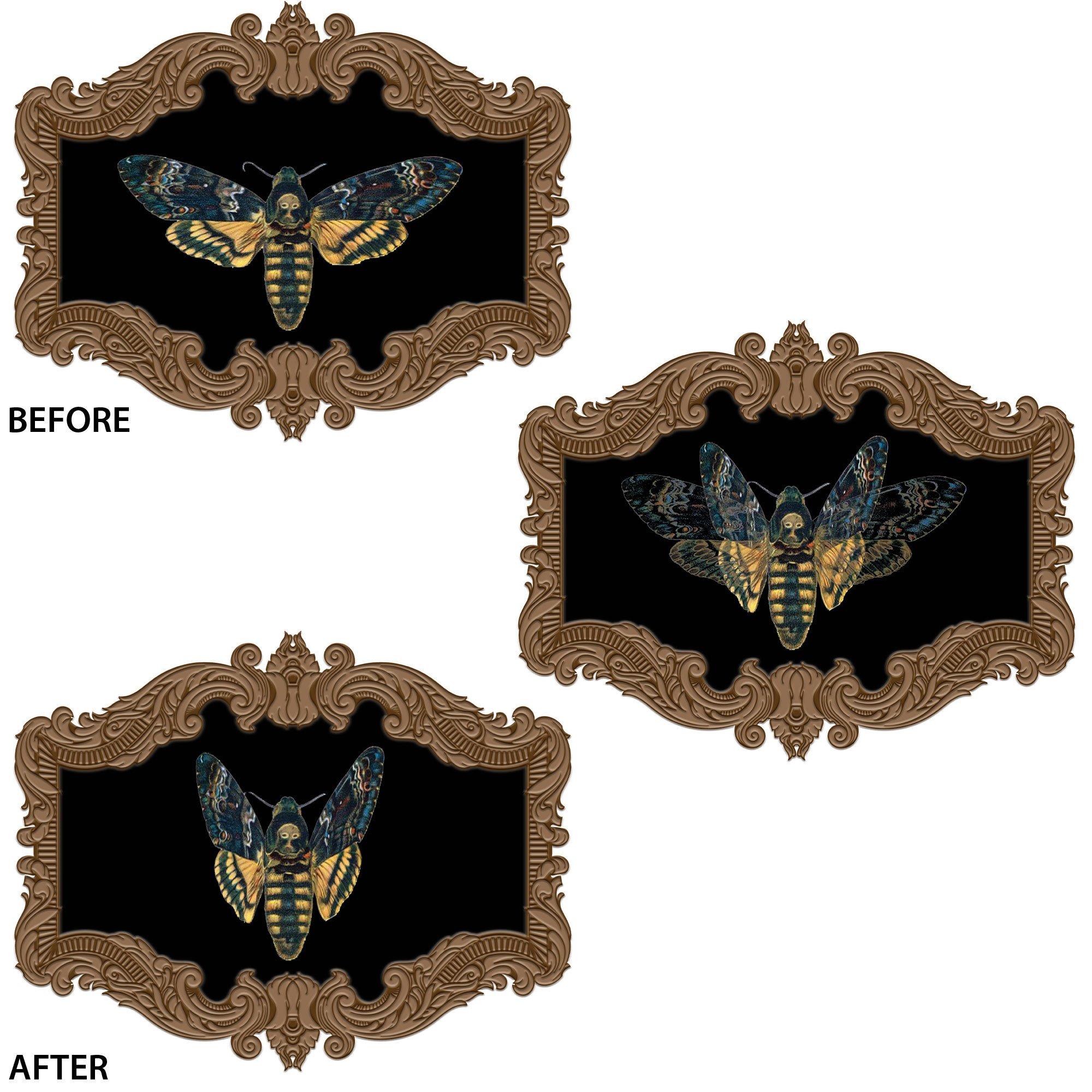 Moth Lenticular Vacuform Plastic Decoration, 14in x 11.1in - Dark Academia