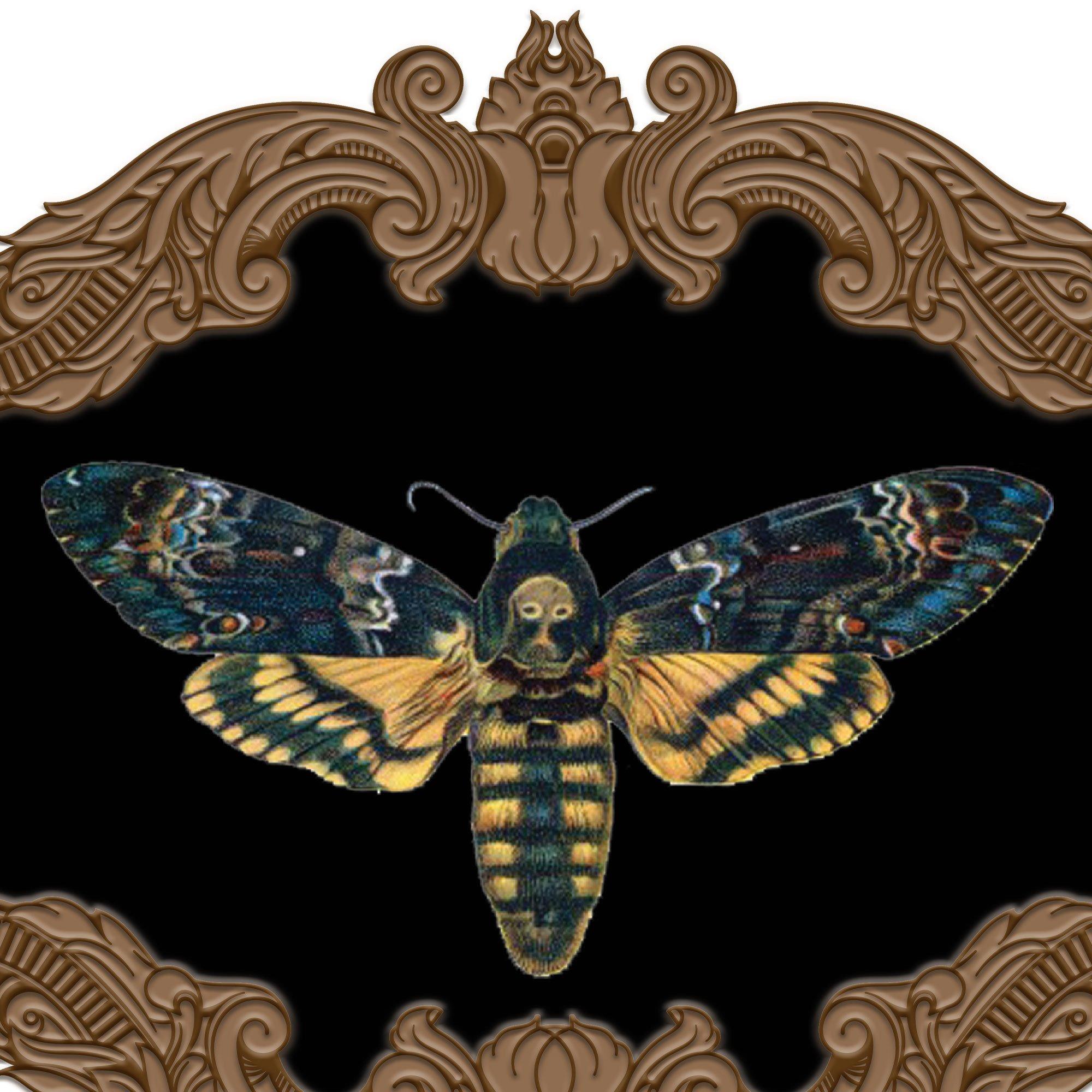 Moth Lenticular Vacuform Plastic Decoration, 14in x 11.1in - Dark Academia