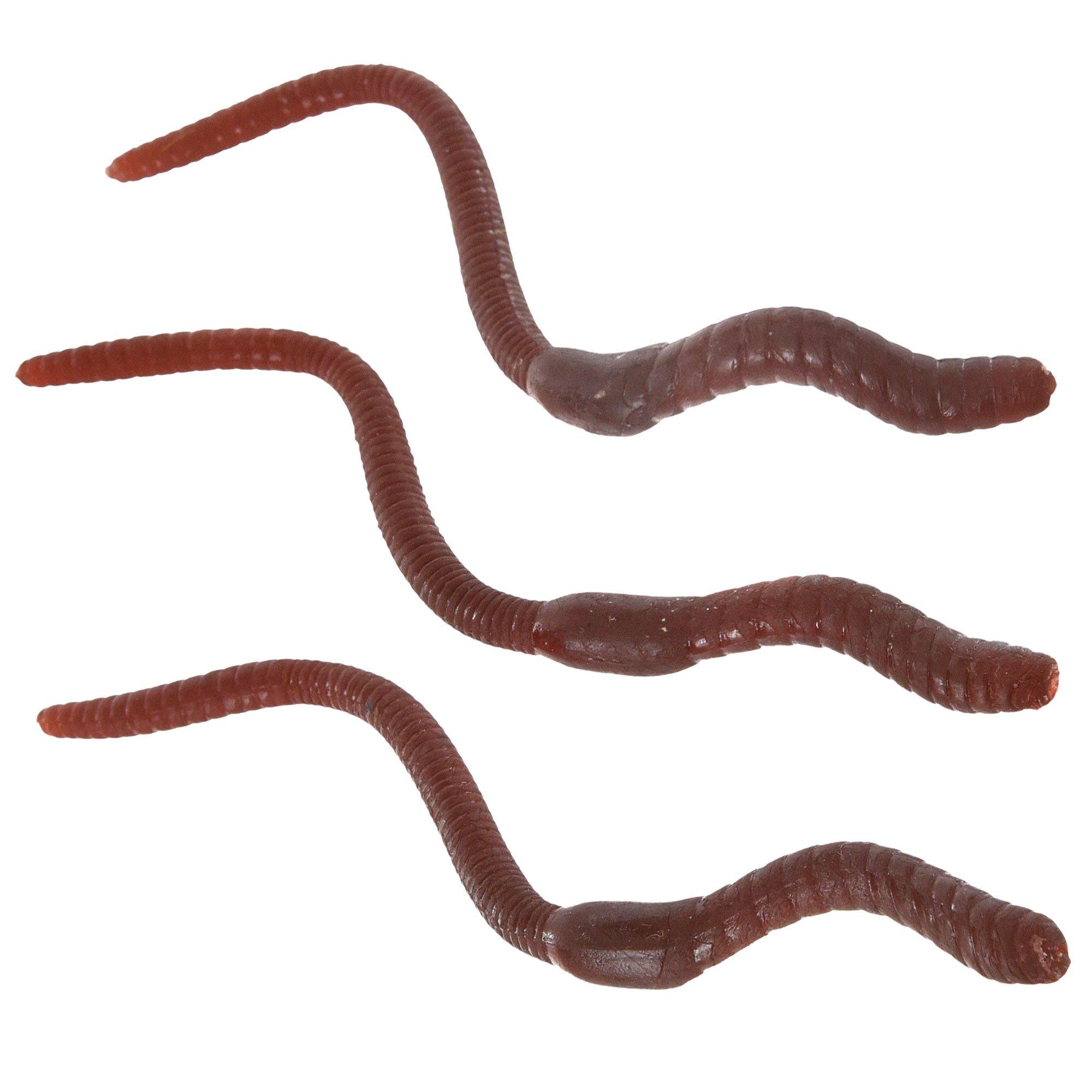 Black Plastic Worms, 5.5in, 12ct