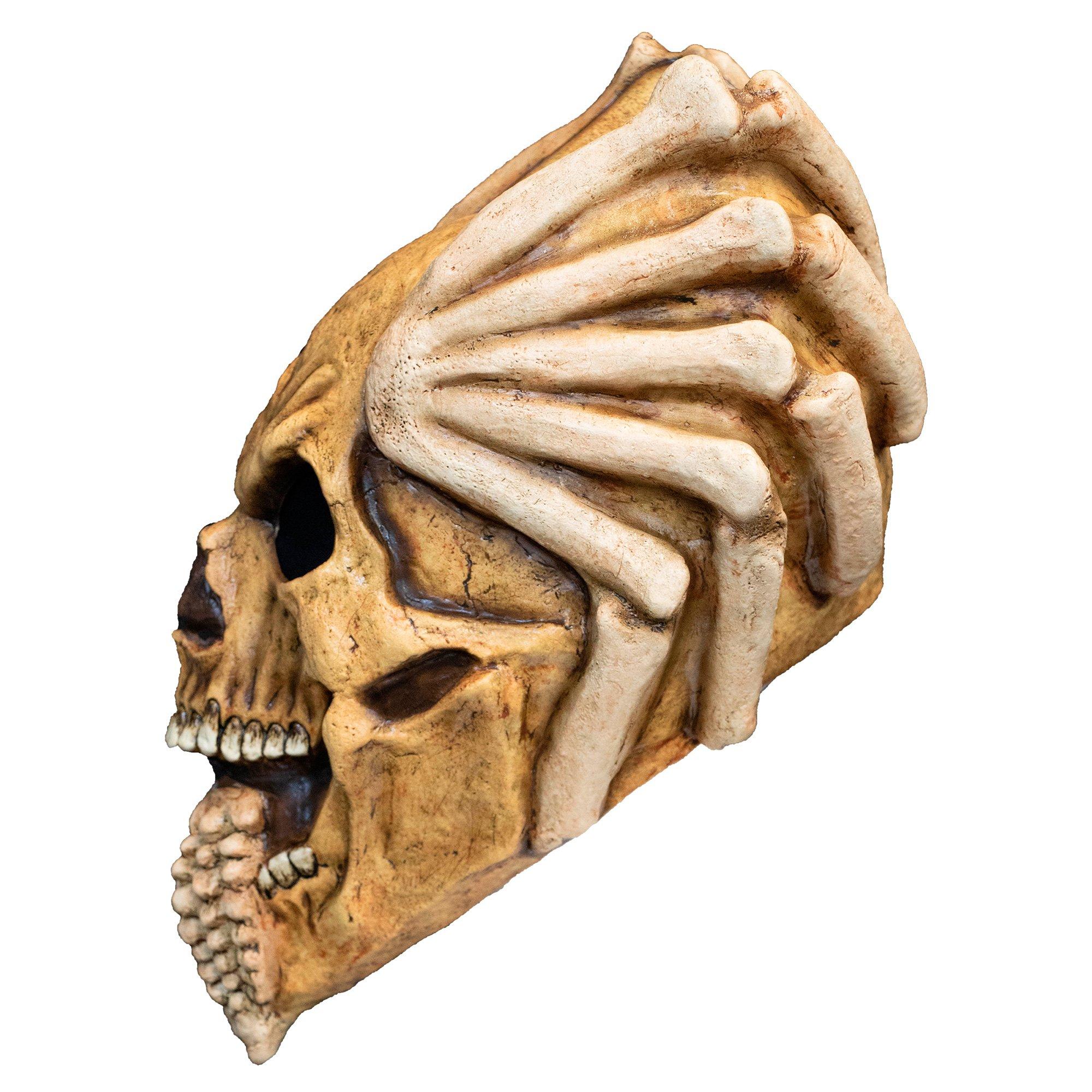 Adult Dred Skull Latex Mask