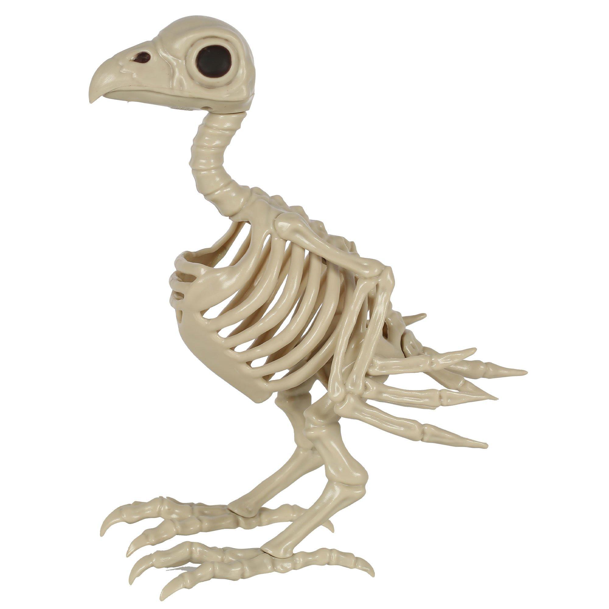 Plastic Crow Skeleton, 6.75in x 7.5in