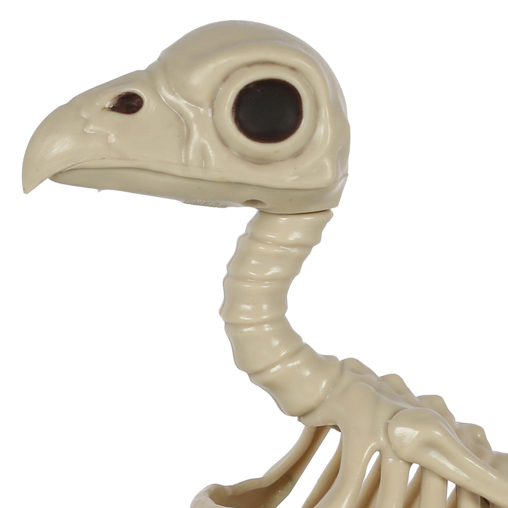 Plastic Crow Skeleton, 6.75in x 7.5in