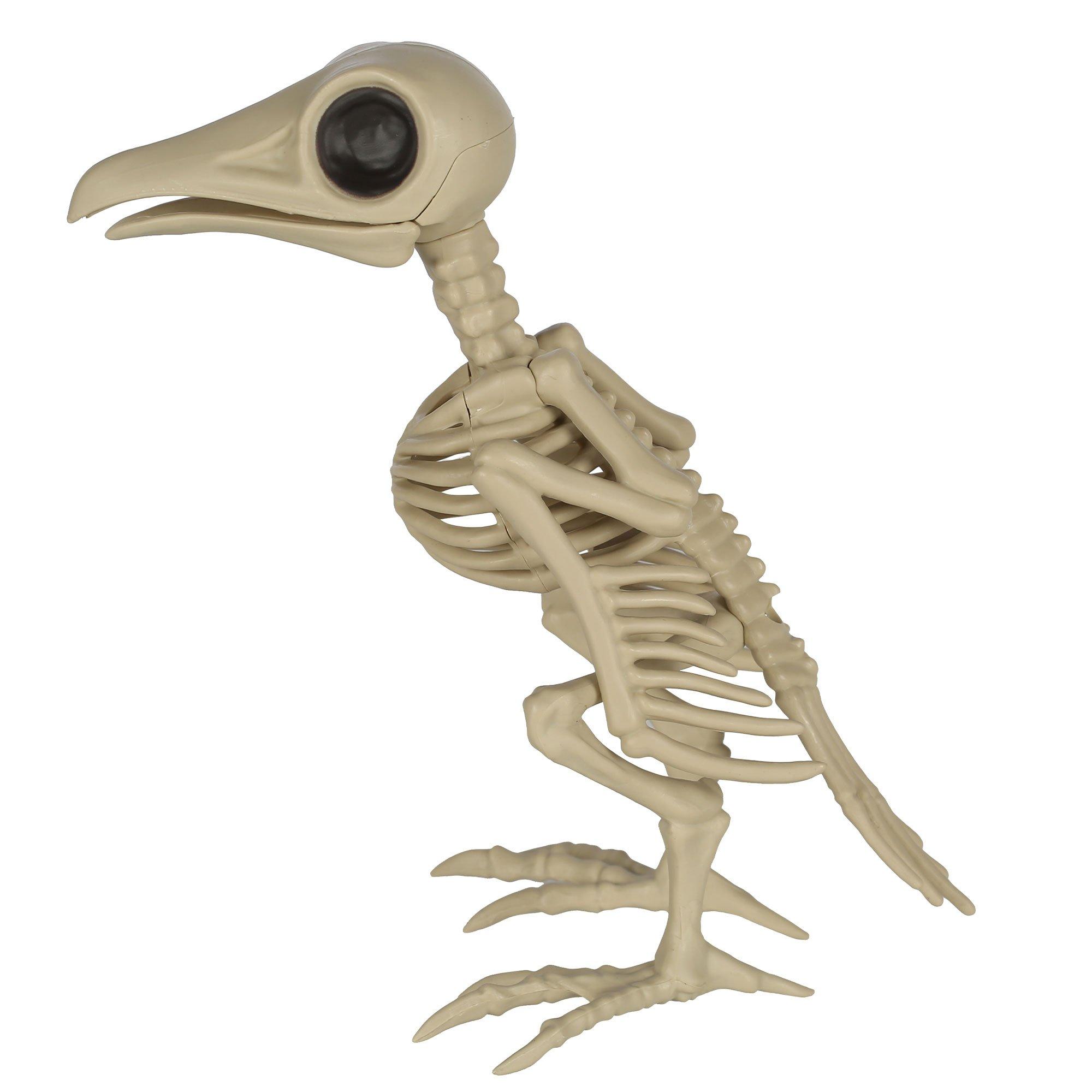 Plastic Bird Skeleton, 5in x 5.75in