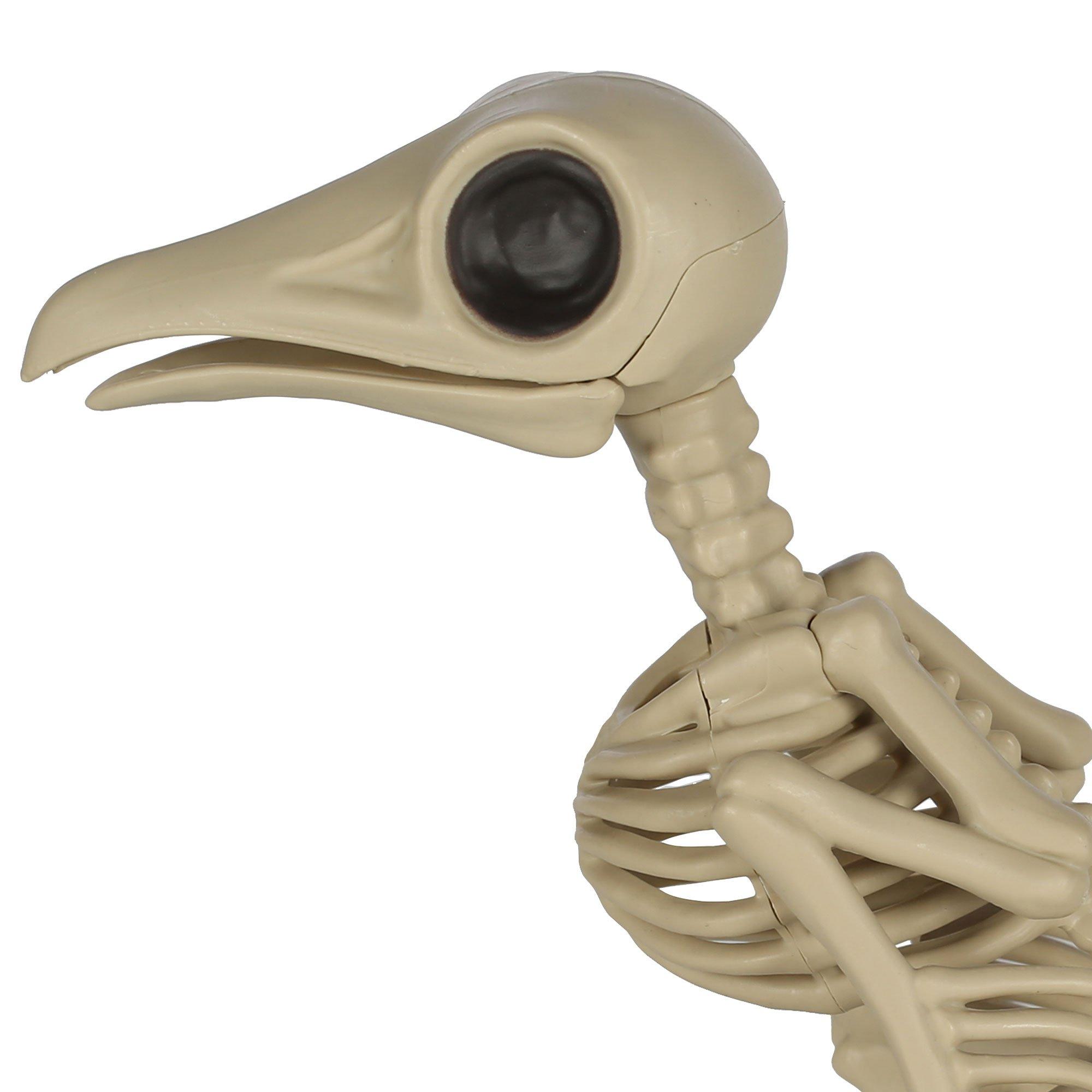 Plastic Bird Skeleton, 5in x 5.75in