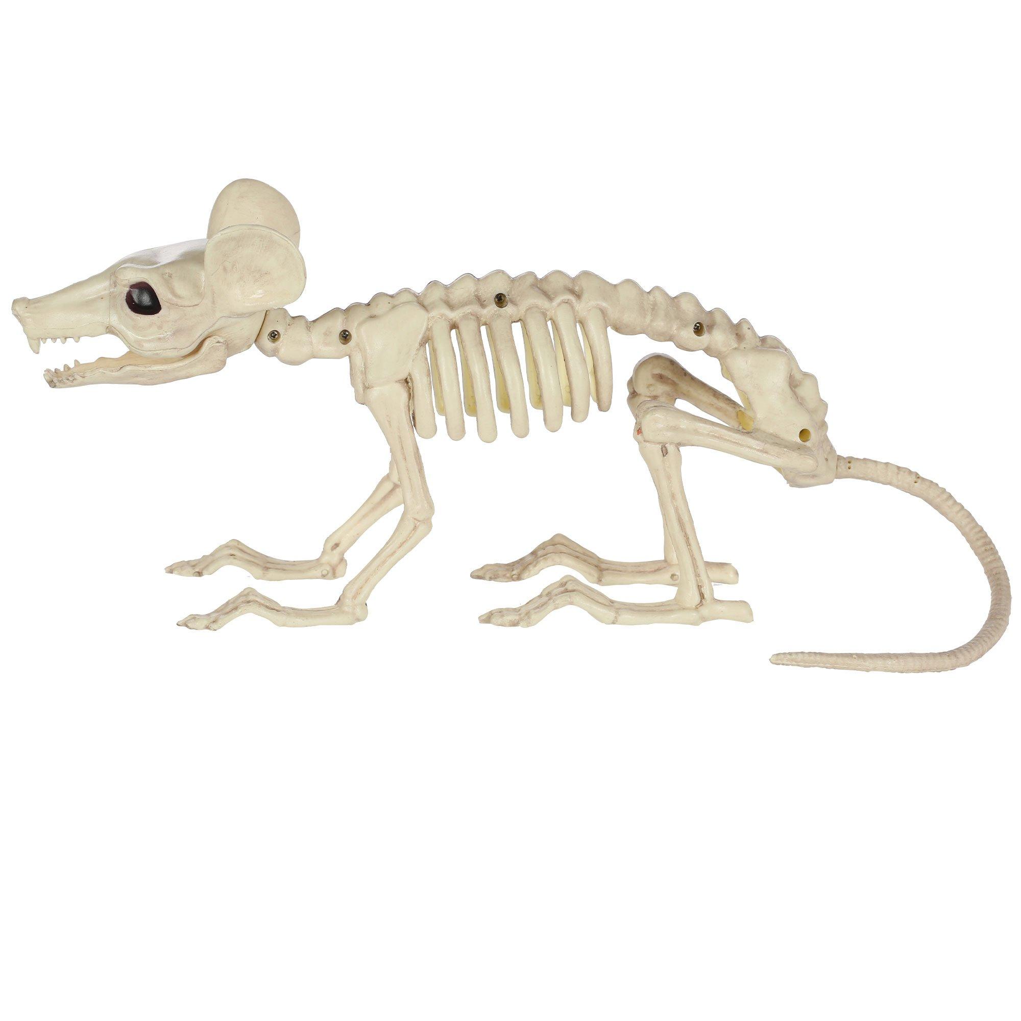 Large Plastic Rat Skeleton, 13.5in x 7in