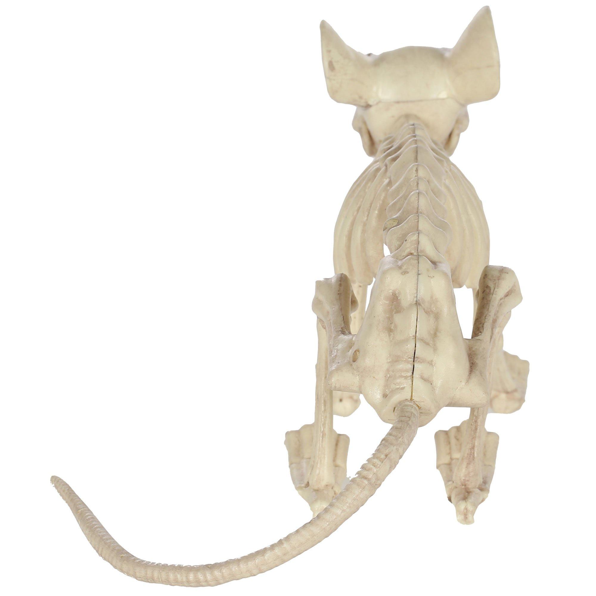 Large Plastic Rat Skeleton, 13.5in x 7in