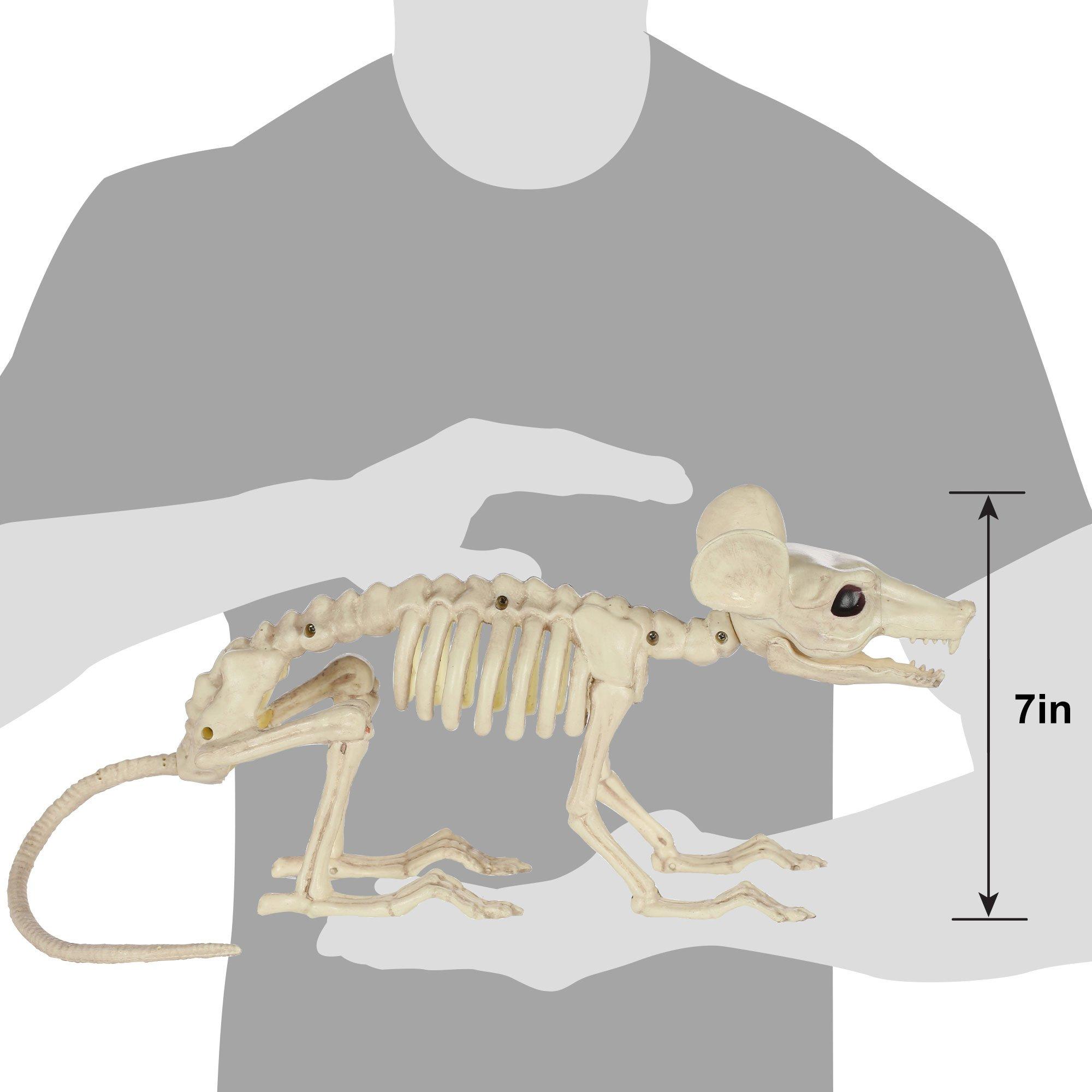 Large Plastic Rat Skeleton, 13.5in x 7in