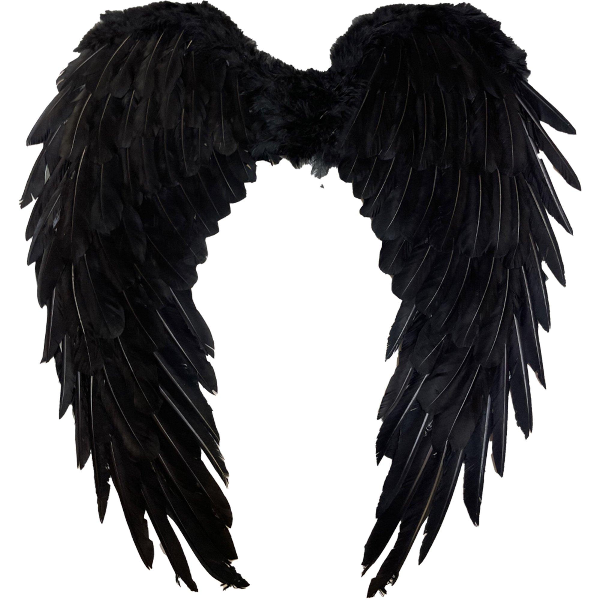 Black Feather Wings