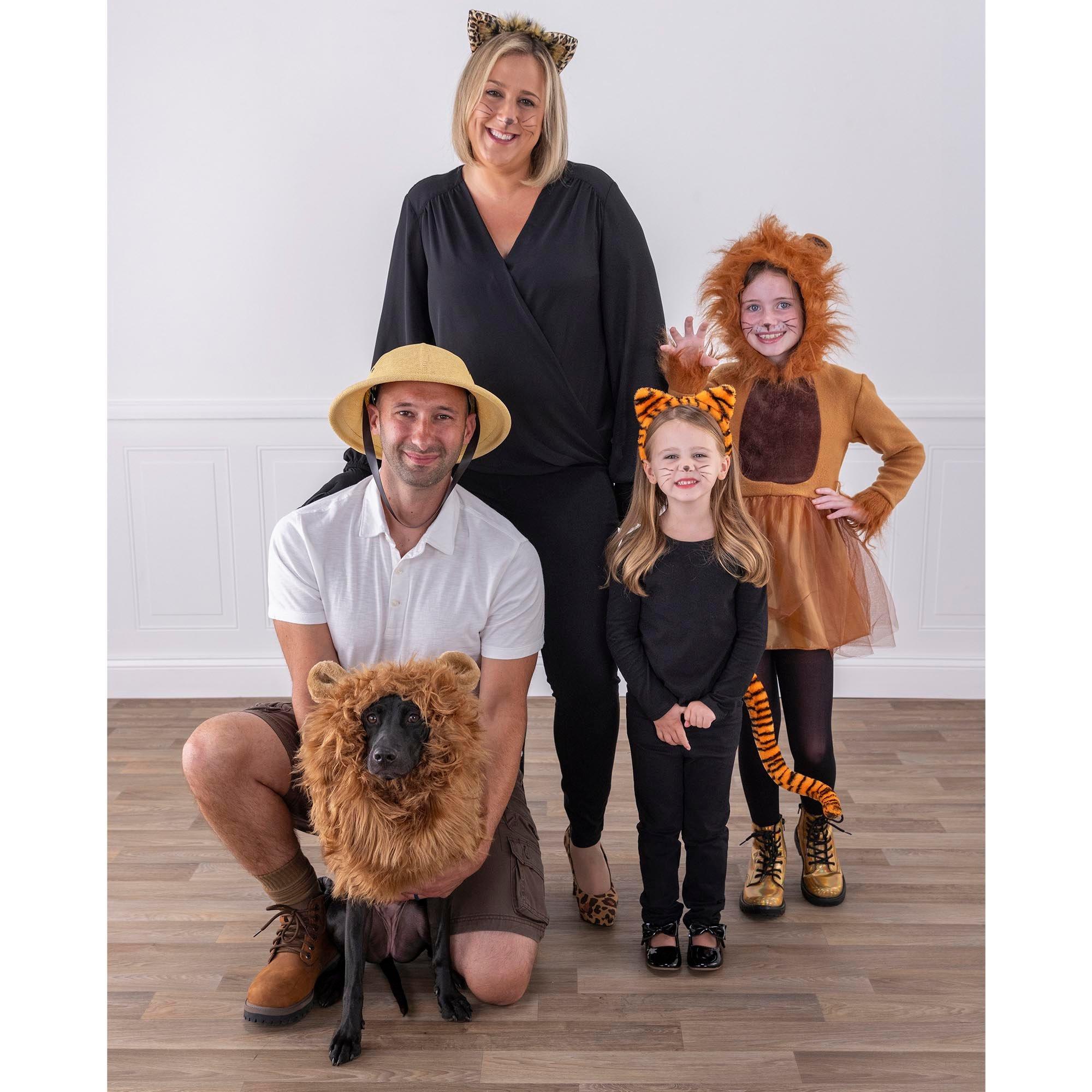 Lion Mane Dog Costume