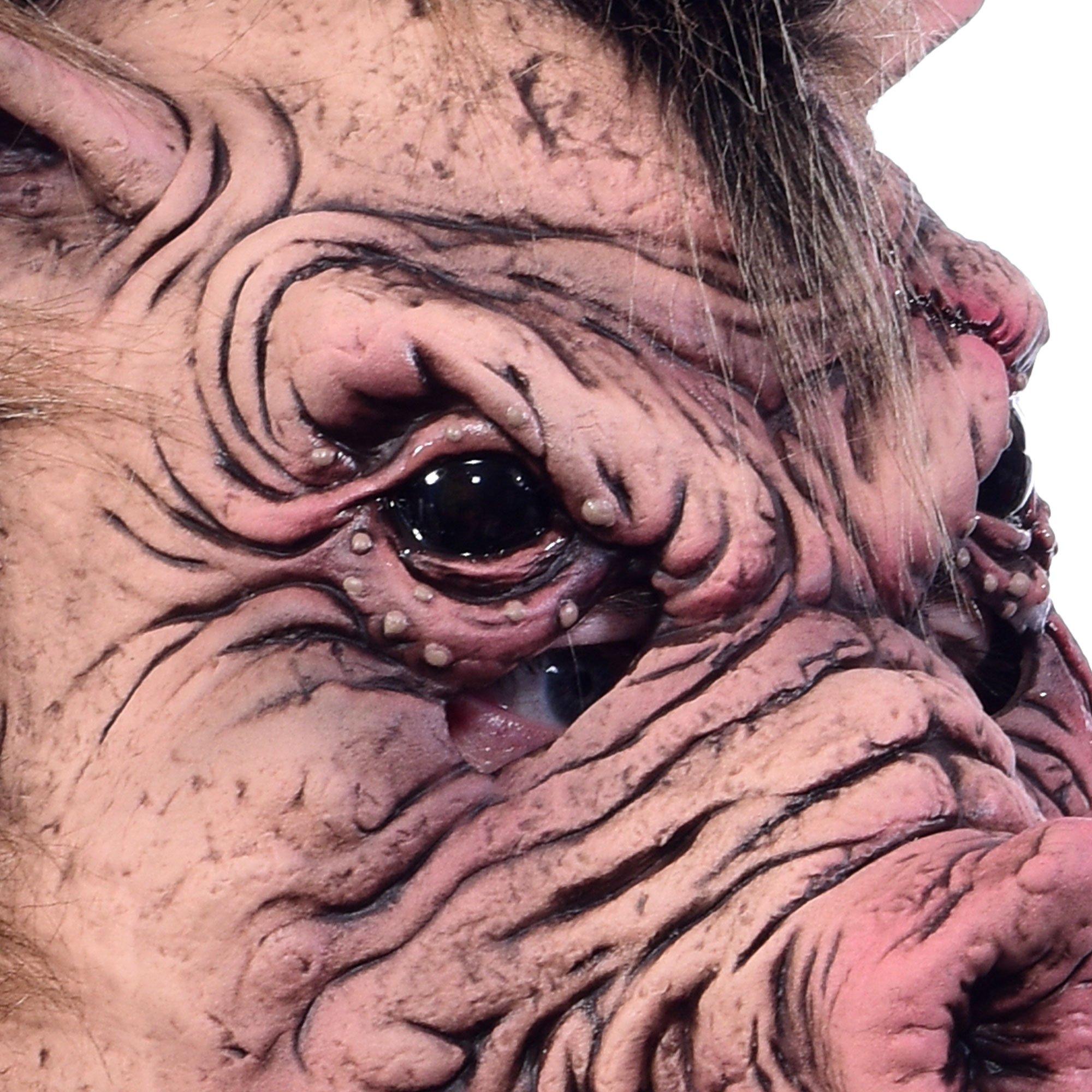 Adult Snort What a Boar Latex Face Mask - Zagone Studios