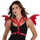 Adult Red Devil Club Wing Harness