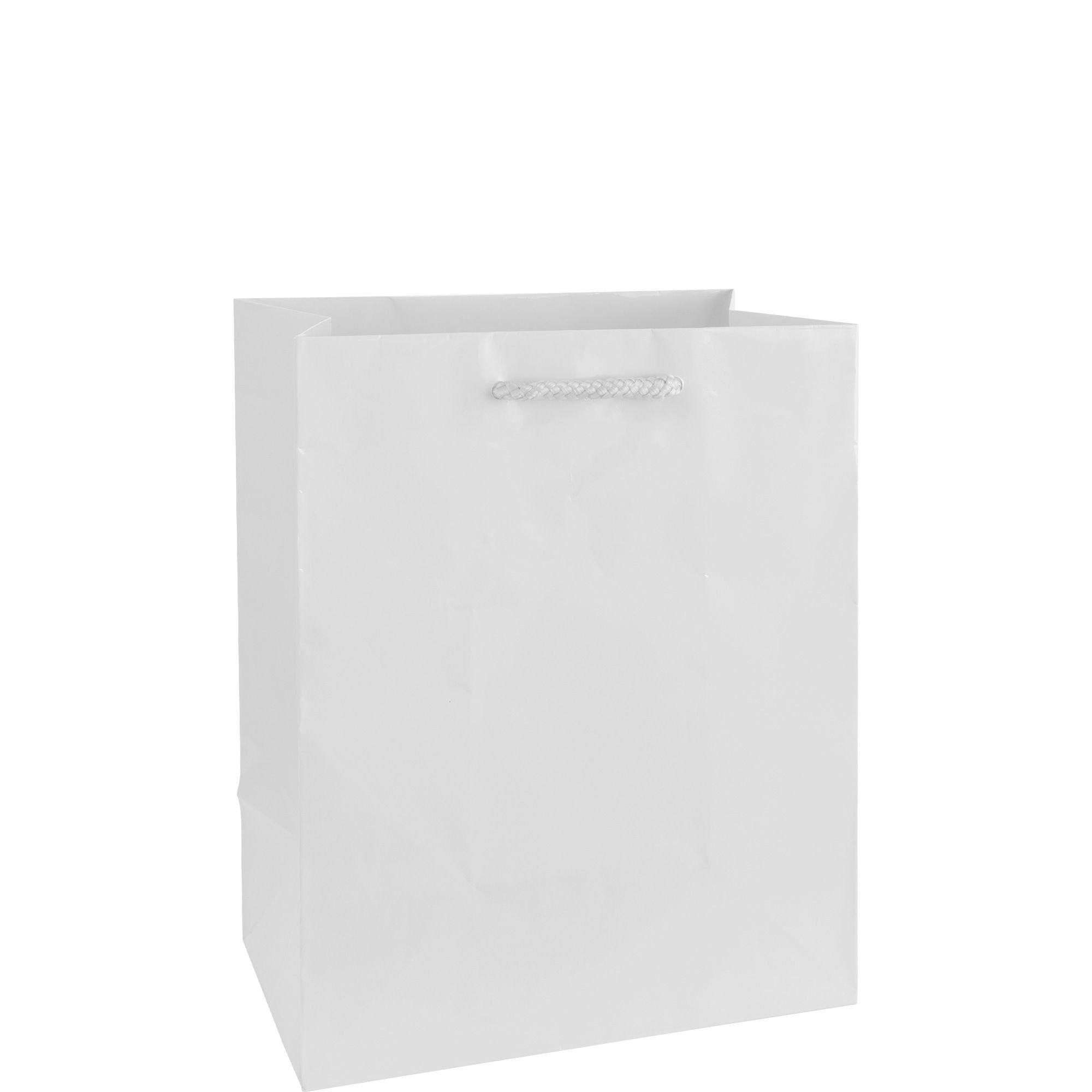 Small White Paper Gift Bag 5 1/4in x 8 1/4in