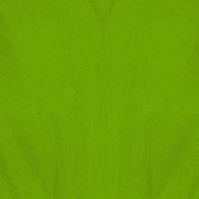 Green Tissue Paper 8ct