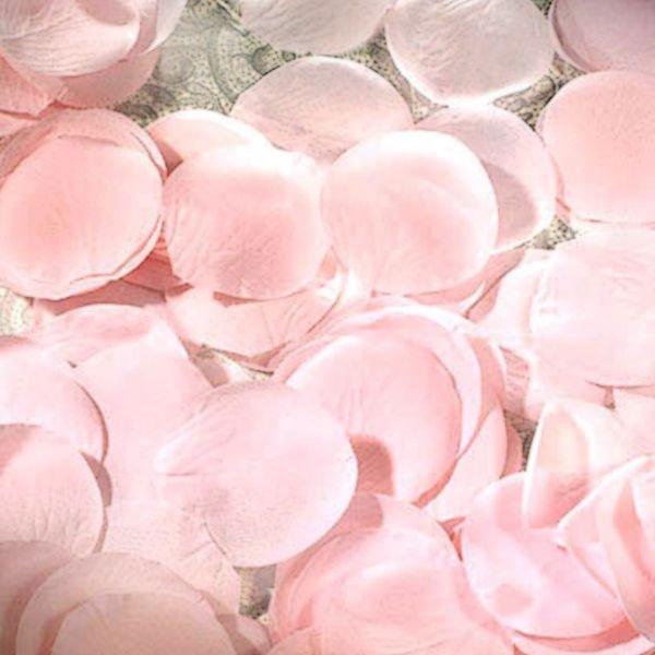Pink Rose Petals 300ct | Party City