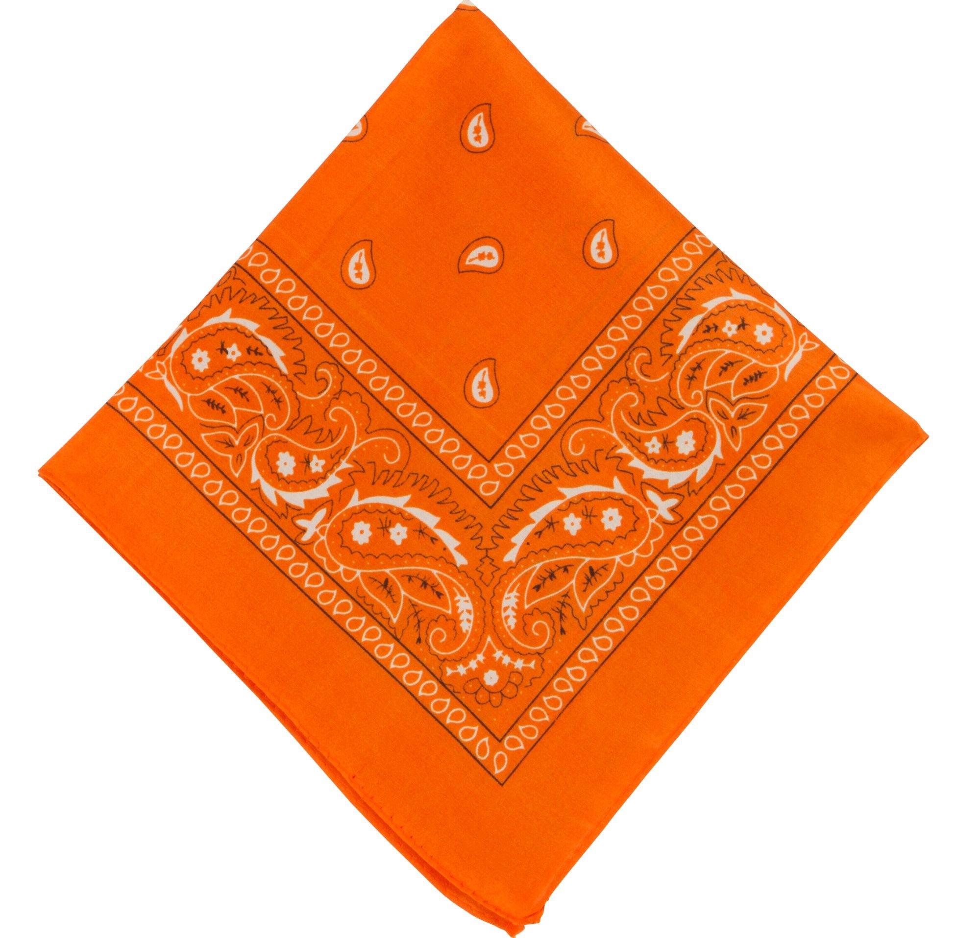 Orange Paisley Bandana, City | Party 20in 20in x