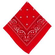 Red Paisley Bandana, 20in x 20in