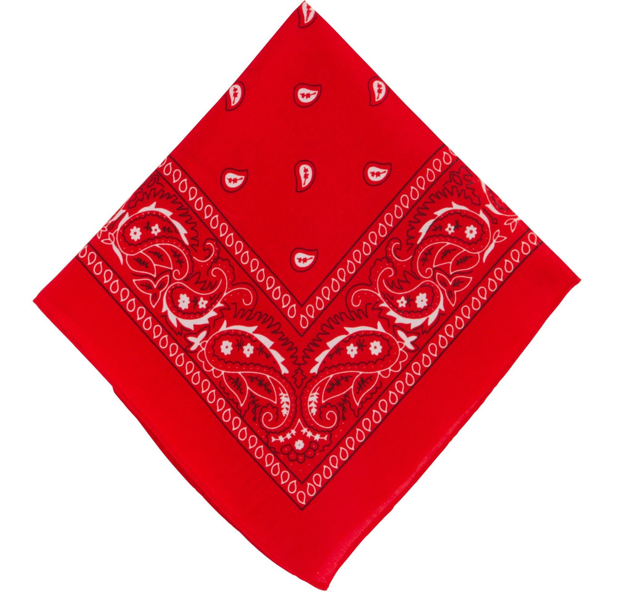 Red Paisley Bandana, 20in x 20in