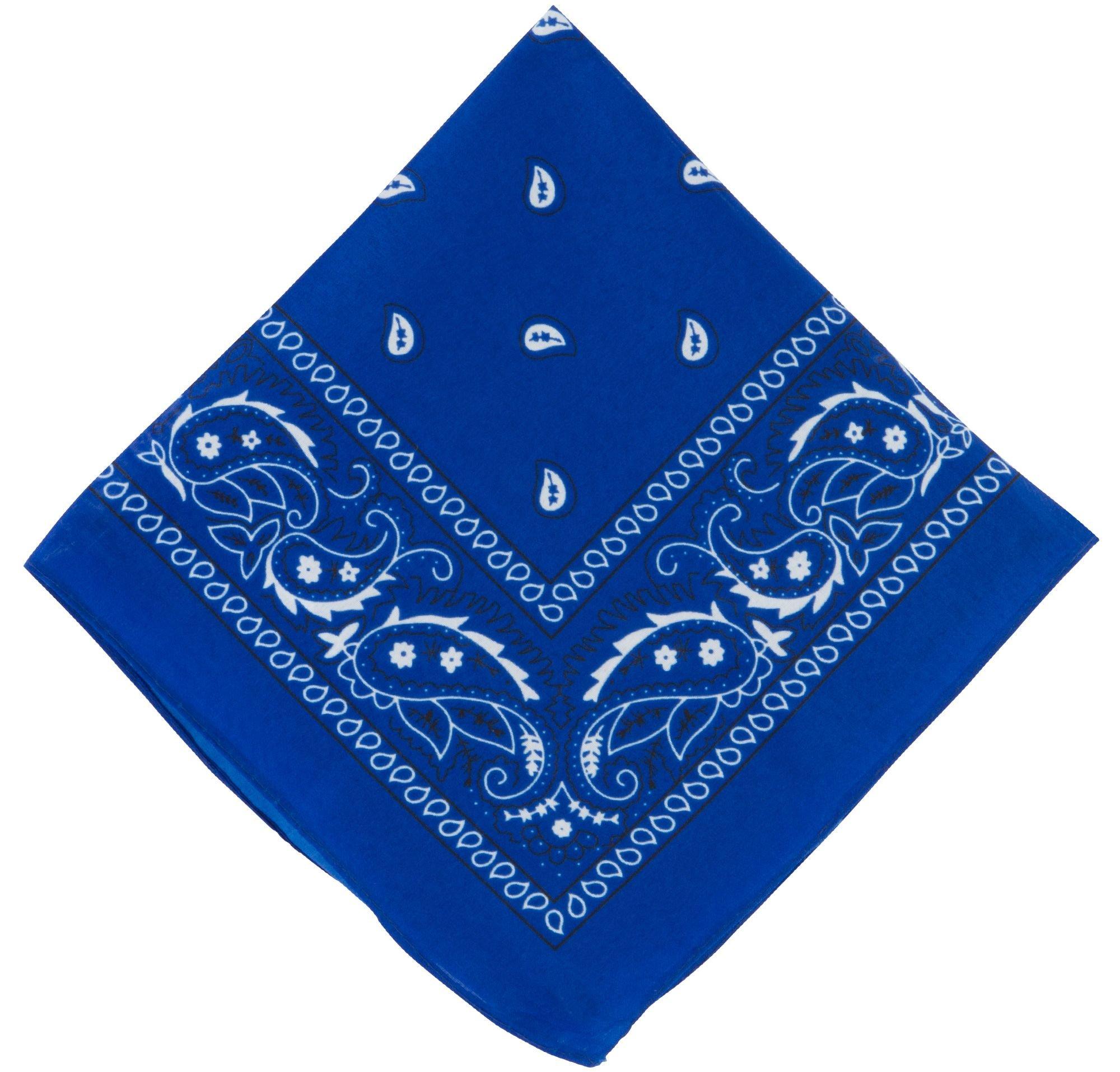 Blue Paisley Bandana, 20in x 20in | Party City