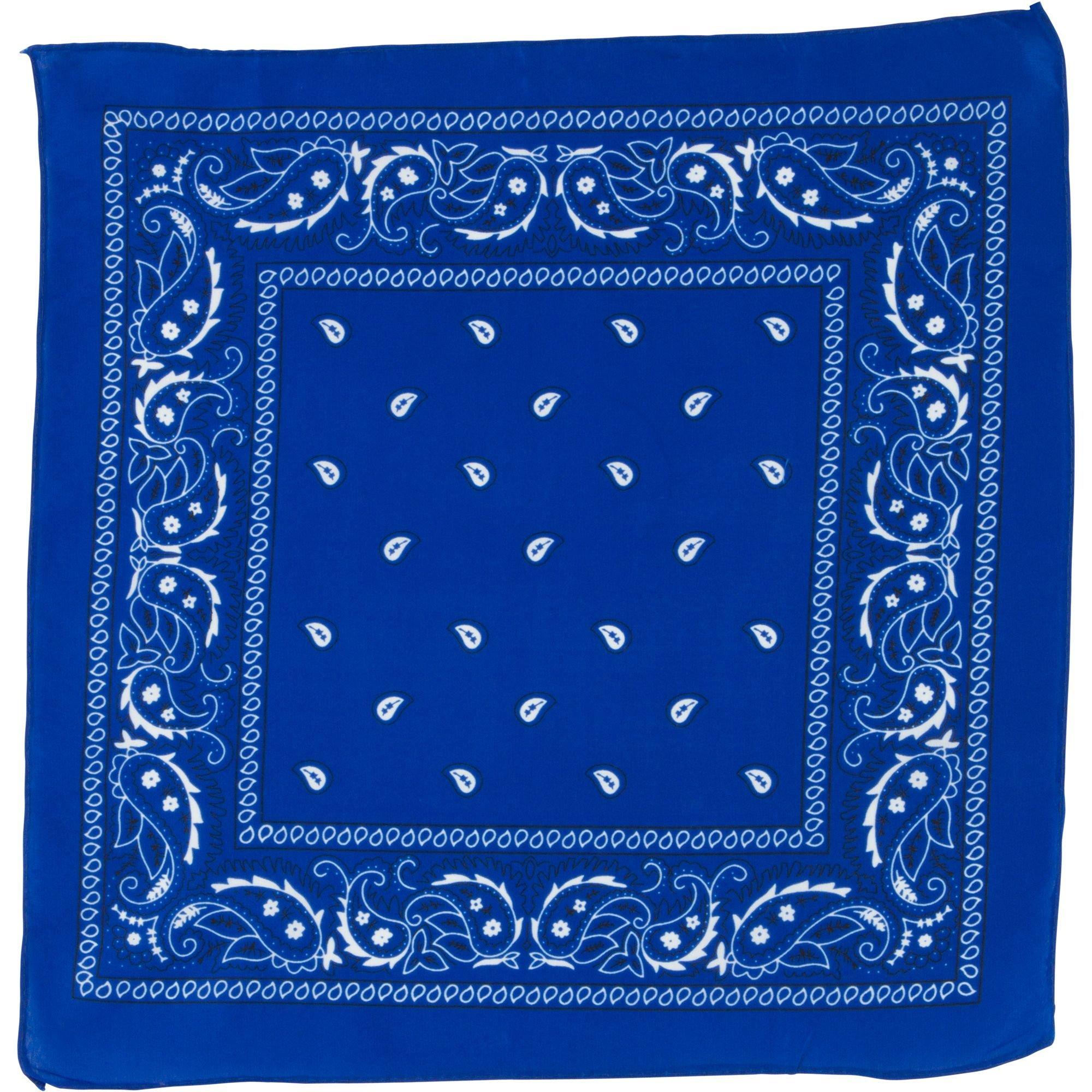 Blue Paisley Bandana, 20in x 20in | Party City