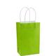 Small Kiwi Green Paper Gift Bag, 5.25in x 8.25in 