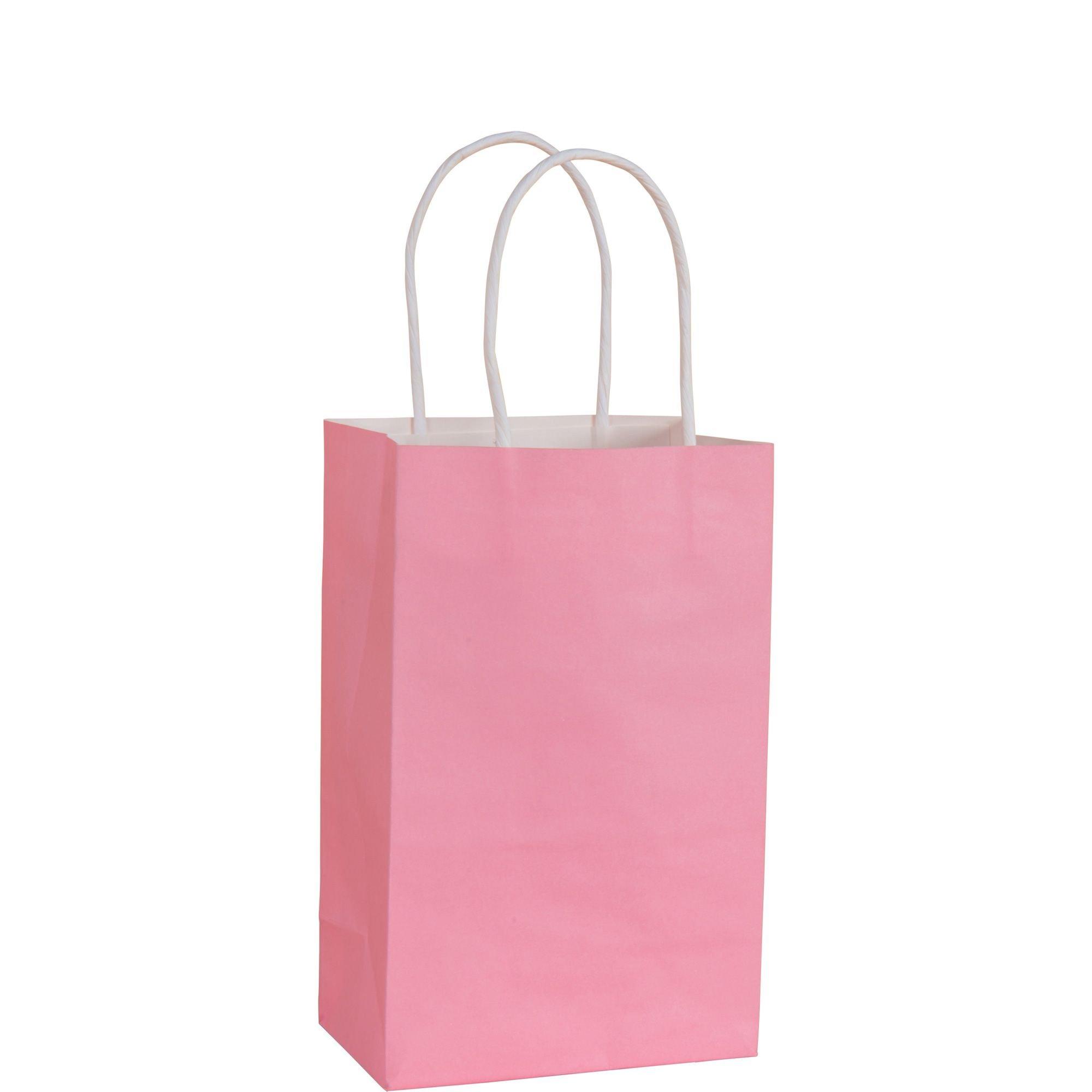 Pack of 100 Medium Landscape Pink Paper Gift Bags With Rope Handles and  Ribbon