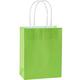Medium Kiwi Green Kraft Bags 10ct