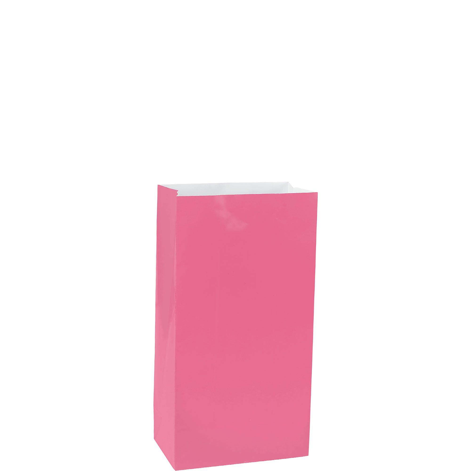 Mini Bright Pink Paper Treat Bags 12ct Party City
