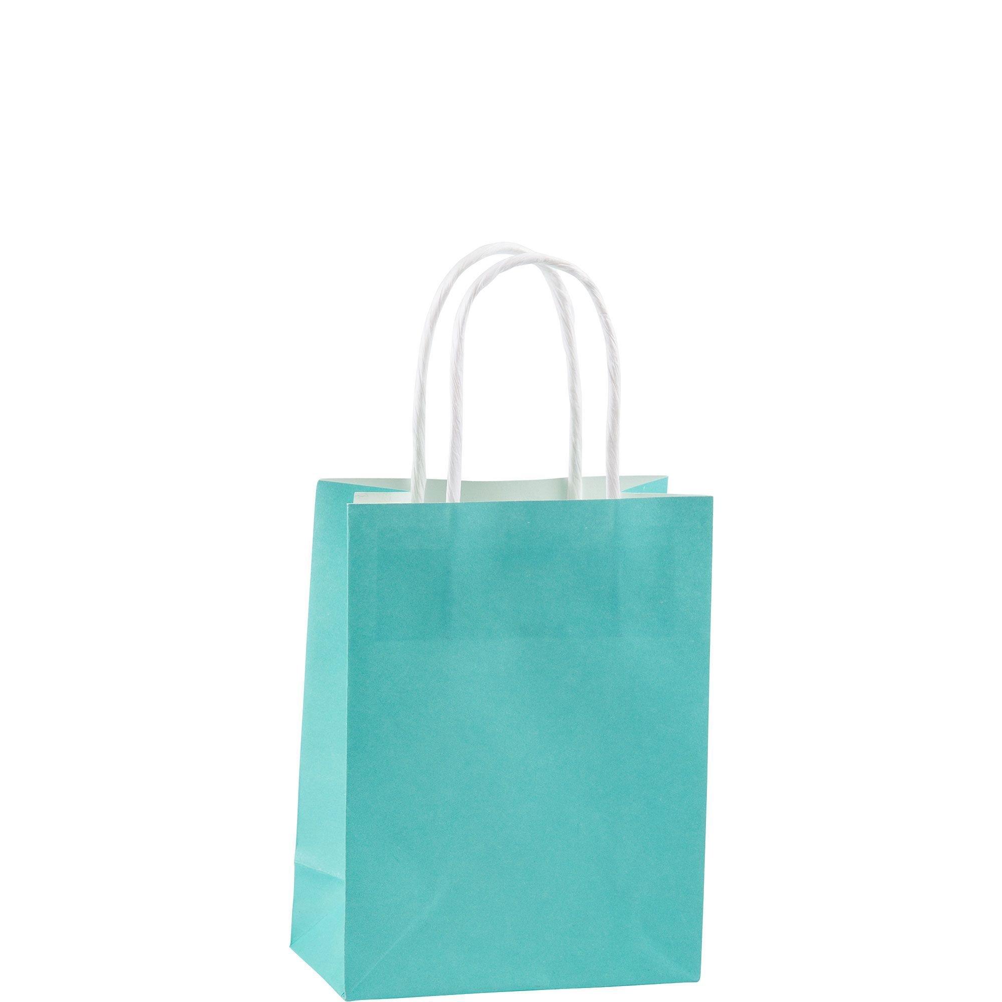 Robin's Egg Blue Small Paper Gift Bags 8 | 10 ct