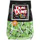 Kiwi Green Dum Dums Lollipops, 80pc - Sour Apple Flavor