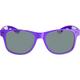 Classic Purple Frame Sunglasses