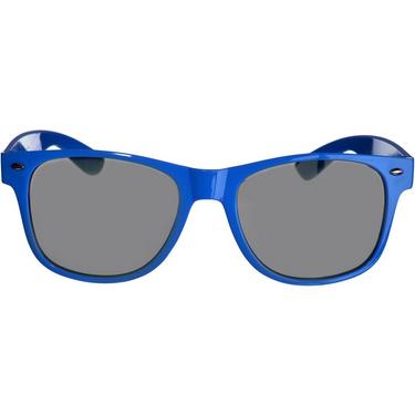 Classic Blue Frame Sunglasses 6in x 2in