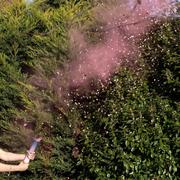 Ginger Ray Gender Reveal Smoke Cannon With Confetti 1ct