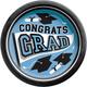 Powder Blue Congrats Grad Paper Lunch Plates, 8.5in, 20ct - True to Your School