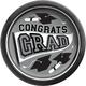 Silver Congrats Grad Paper Lunch Plates, 8.5in, 20ct - True to Your School
