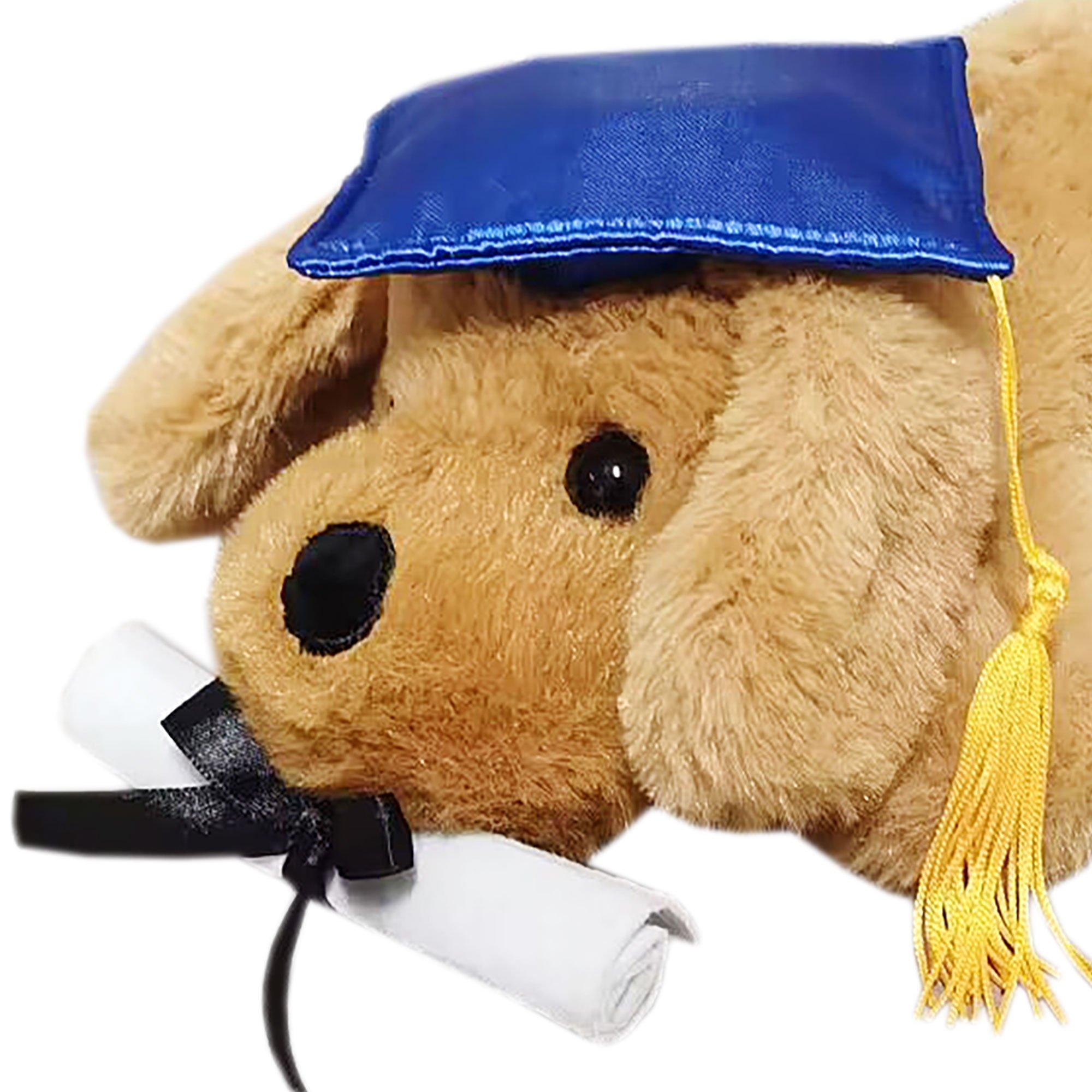 Blue Graduation Cap & Diploma Lying Tan Dog Plush, 8.5in