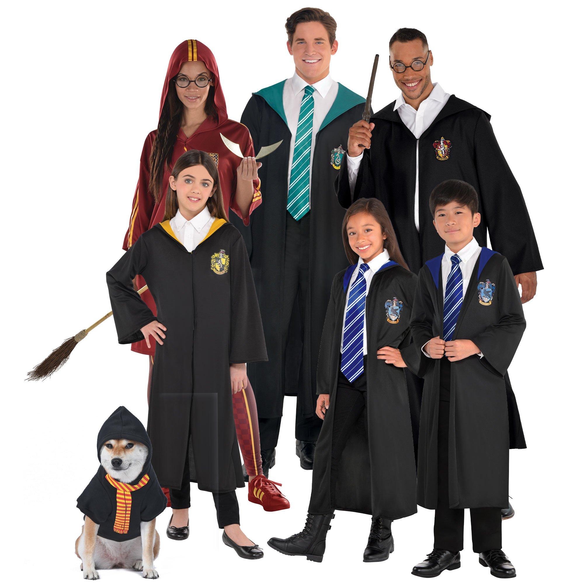 Adult Harry Potter Deluxe Ravenclaw Robe Costume  Harry potter robes,  Ravenclaw scarf, Harry potter