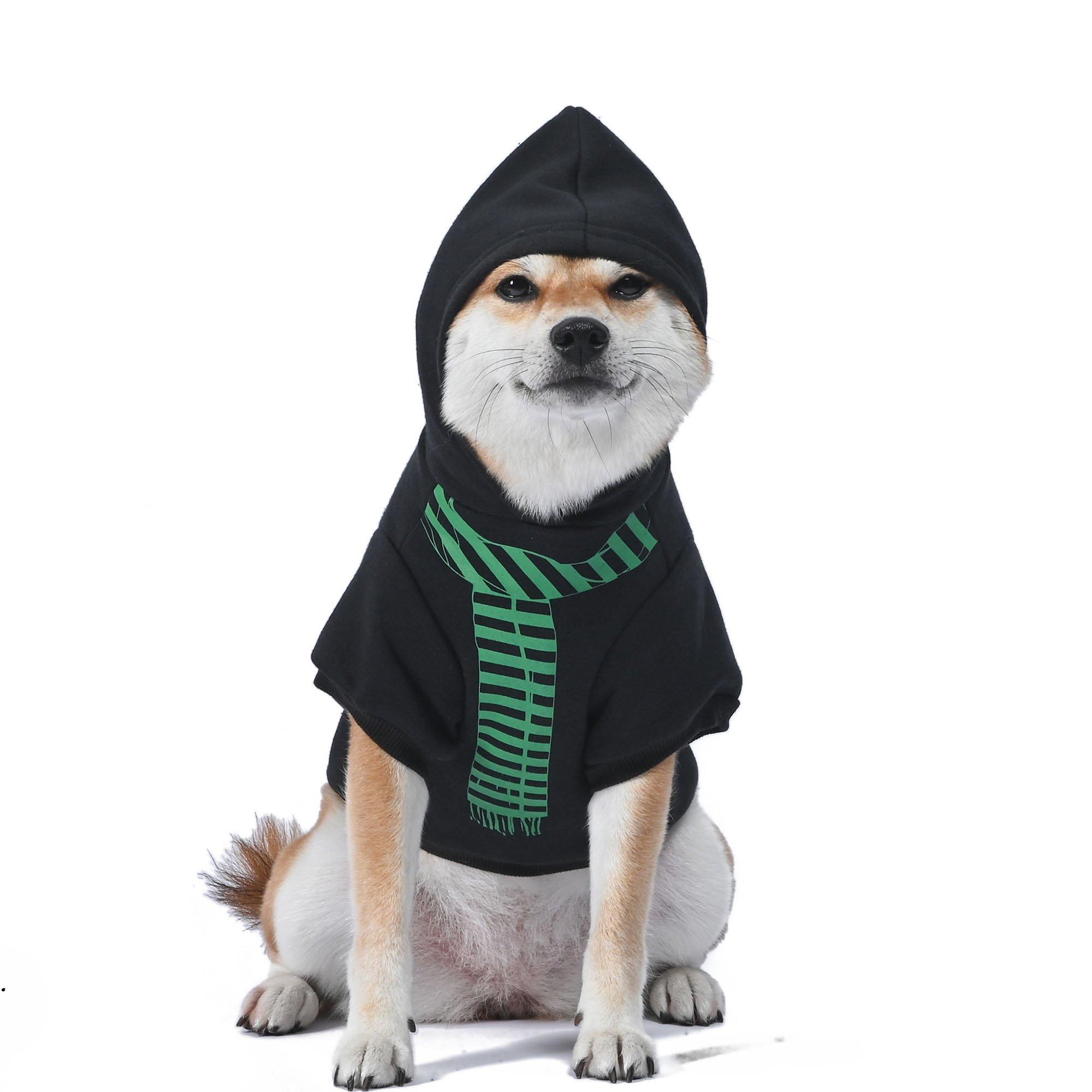 Slytherin Wizards Doggy & Me Costume - Harry Potter