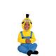 Despicable Me Family Costumes