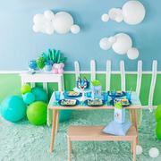 Shop the Collection: Bluey Birthday Party