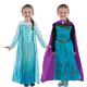 Disney Princess Group Costumes