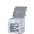 Small Pink & Blue Gender Reveal Box, 11.5in