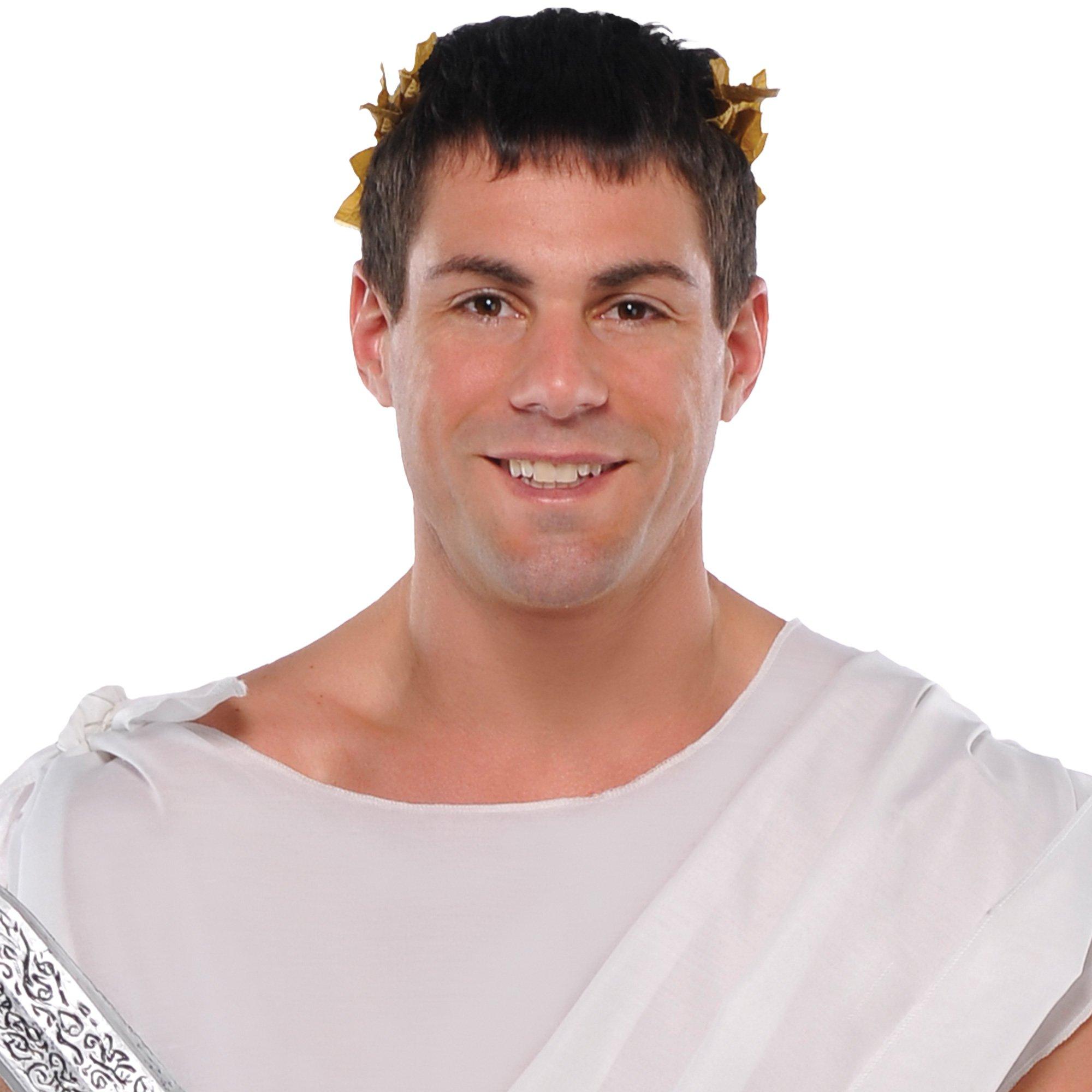 PartyCity Adult Toga Costume | Hamilton Place