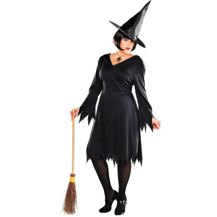 Adult Classic Witch Costume Plus Size